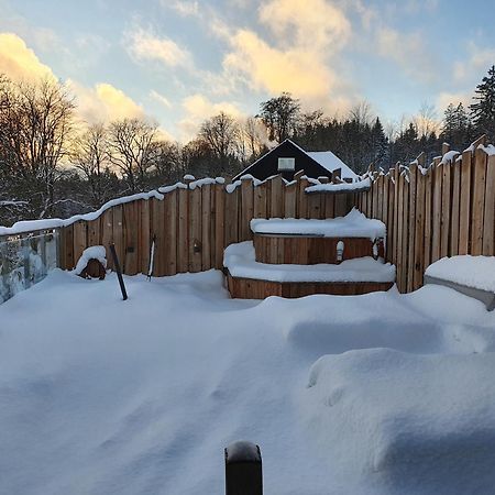 Wlodgeone Braunlage Esterno foto