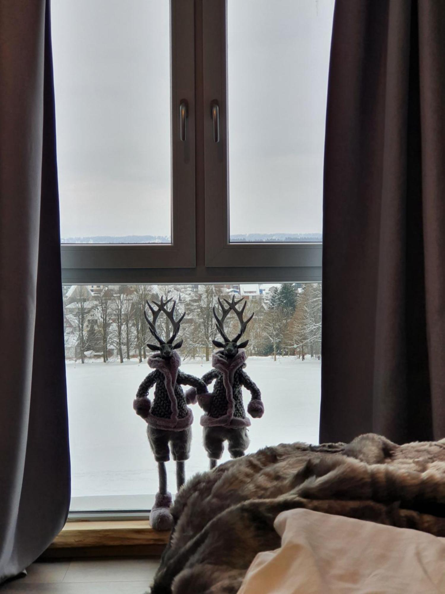 Wlodgeone Braunlage Esterno foto