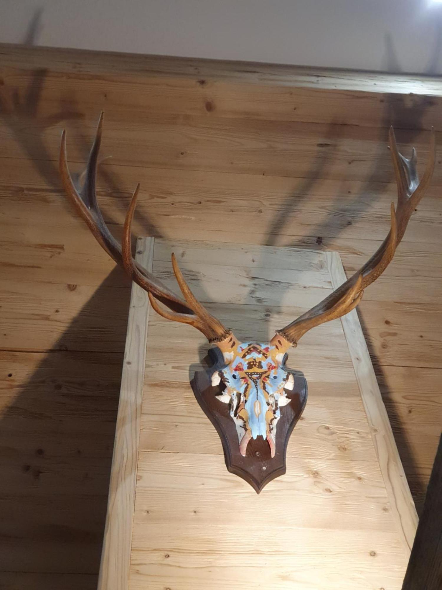 Wlodgeone Braunlage Esterno foto